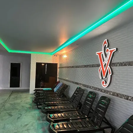 酒店 Vlad & 布克维